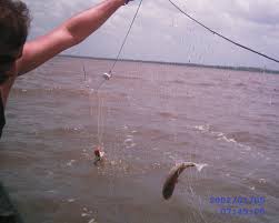 Pesca de rede.